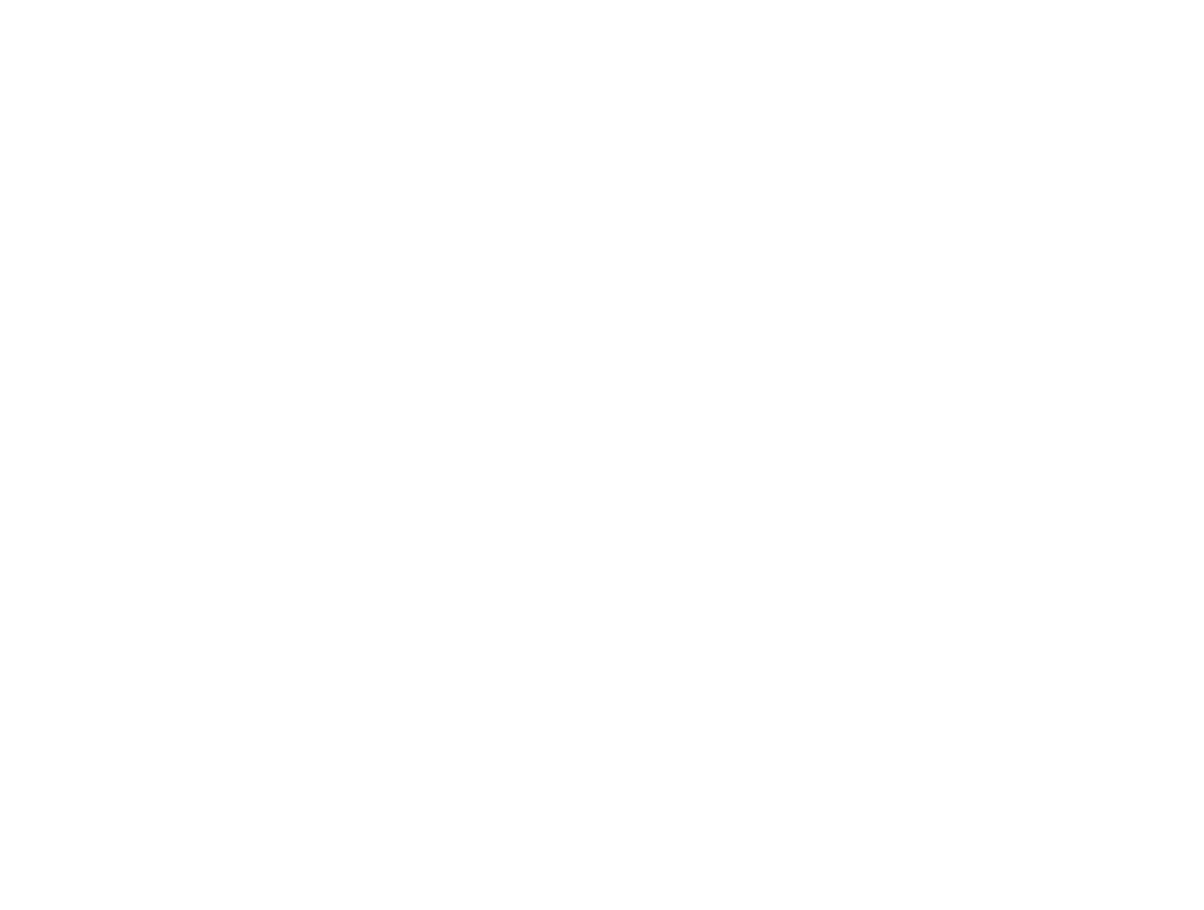 THE CMO