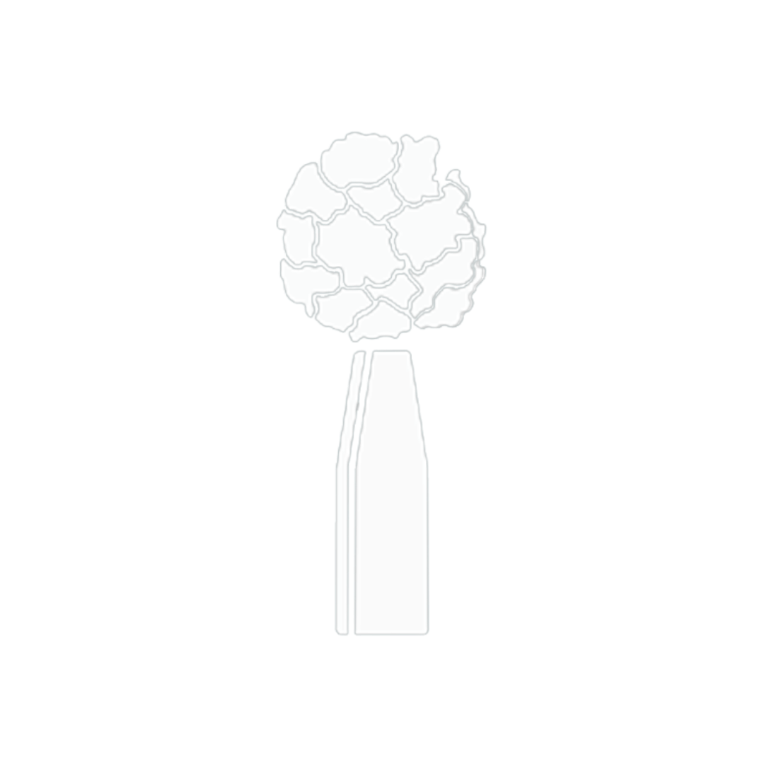 Topiary