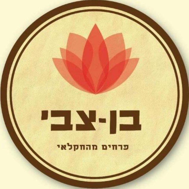 בן צבי