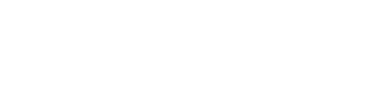 אינווסטור 360