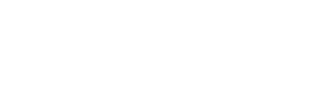 ביטוגרף