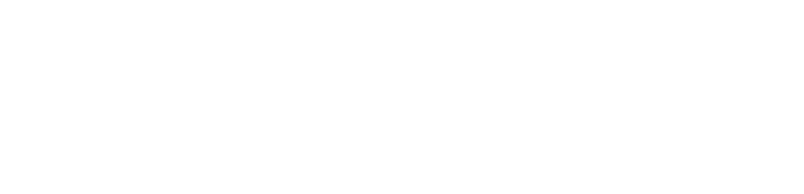 סטימצקי